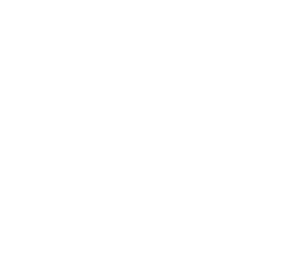 arcsys logo - Consultor FGM Implantes