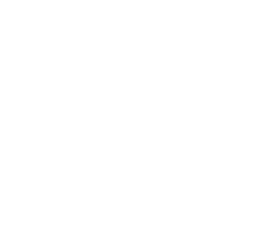 duosynt logo - Consultor FGM Implantes