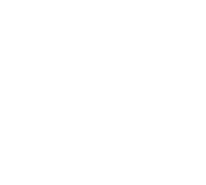 nanosynt logo - Consultor FGM Implantes